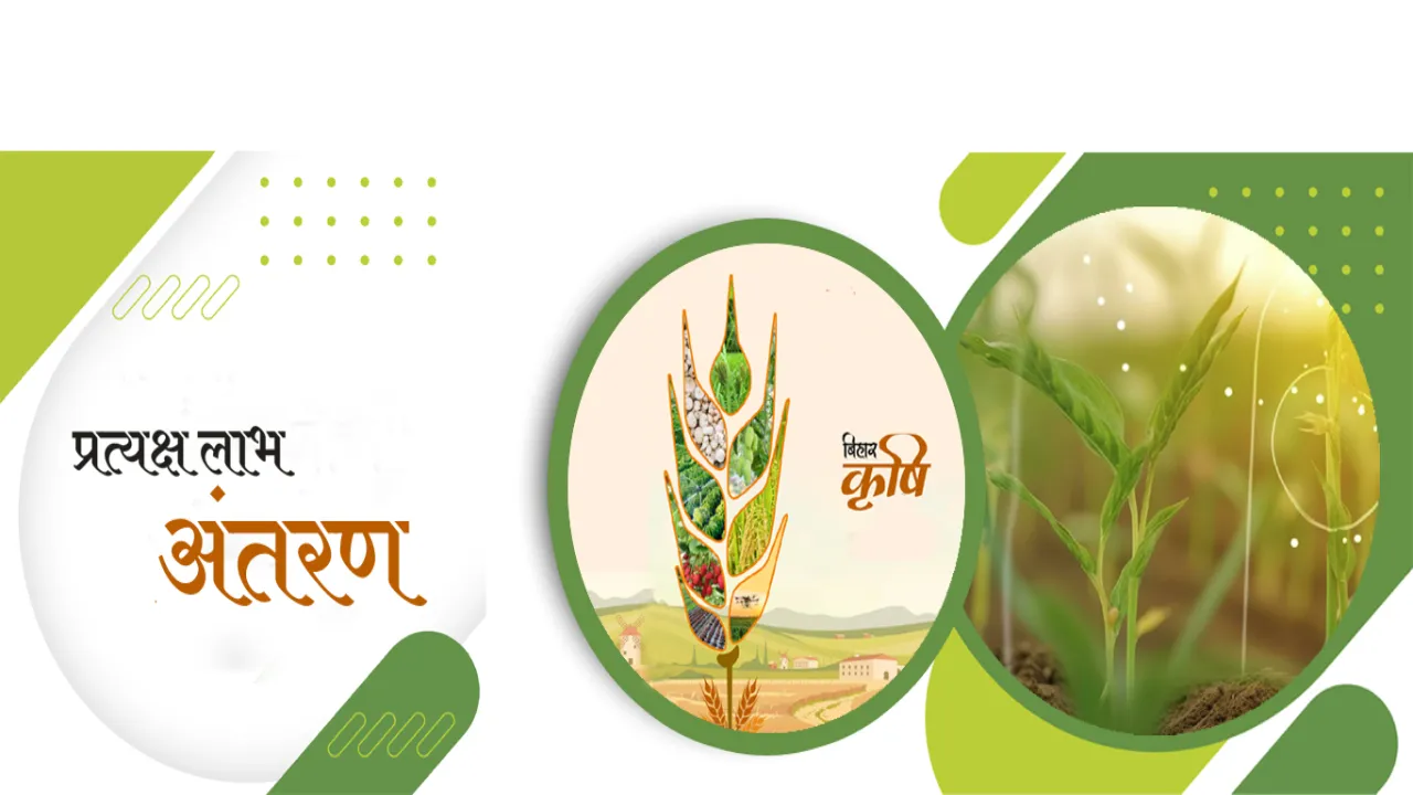 PM Kisan 17वीं किस्त अक्टूबर में जारी: ₹2000 सीधे खाते में, ऐसे करें स्टेटस चेक